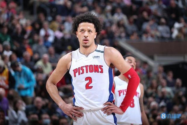 数据显示 数据显示