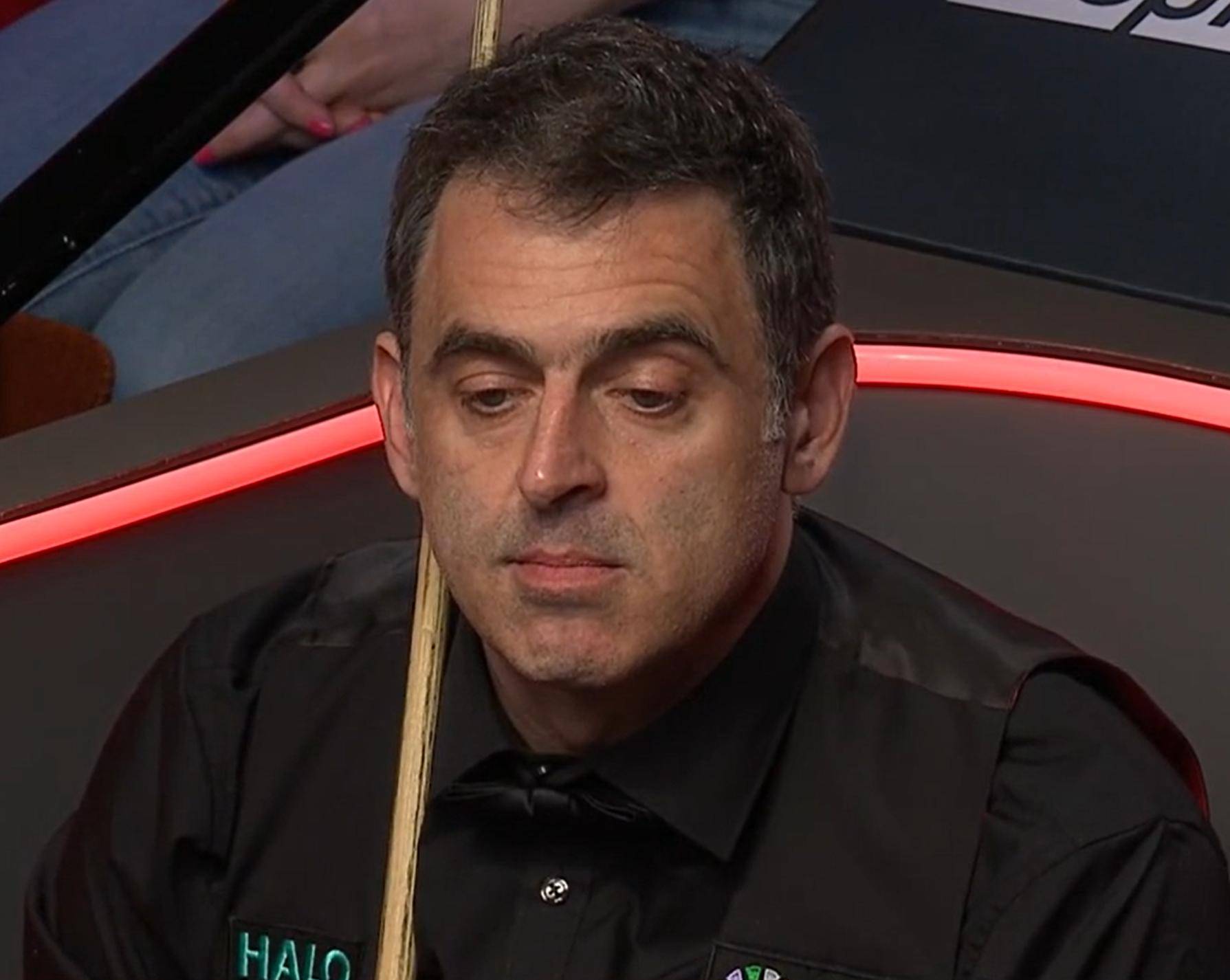 一个个明星 一个个明星