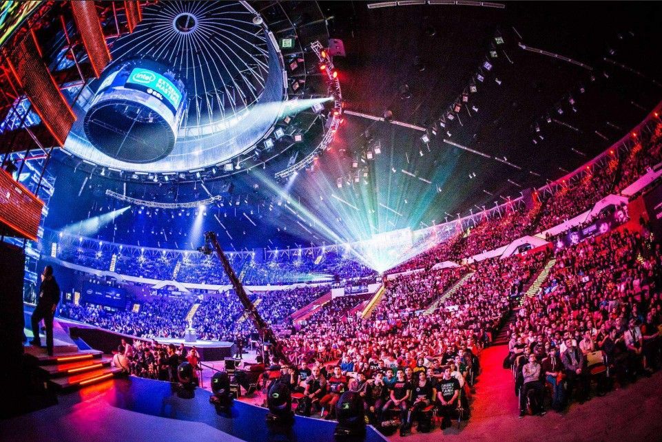 的籃球明星 的籃球明星