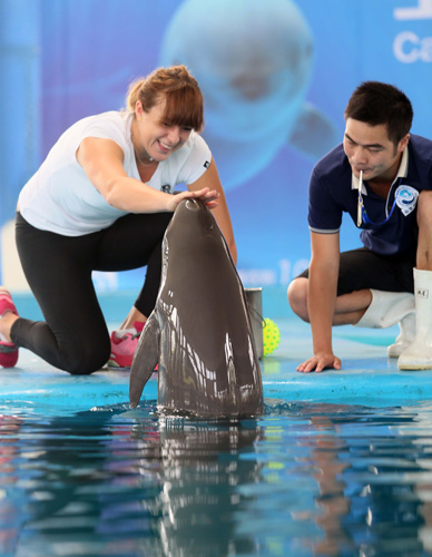 角拉吊的交 角拉吊的交